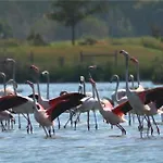 Casa Da Ria Formosa بيت للعطل Panasqueira (Algarve)