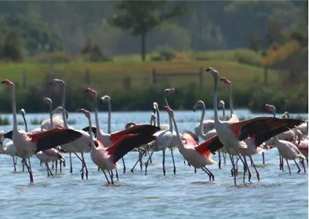 Casa Da Ria Formosa Vakantiehuis Panasqueira (Algarve)