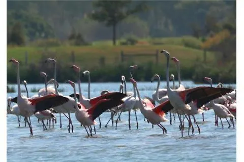 Casa Da Ria Formosa Hébergement de vacances Panasqueira (Algarve)