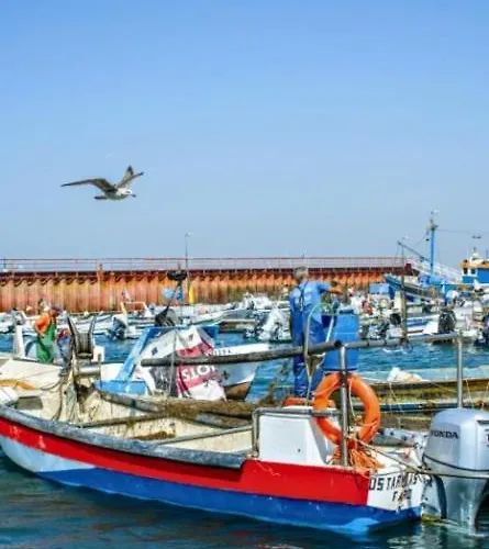 Casa Da Ria Formosa 펜션 *